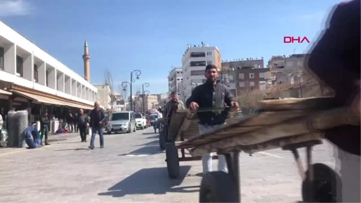 Diyarbakır Bağımsız Aday, Hayvan Haklarına Dikkat Çekmek İçin Çekçek ile Dolaştı