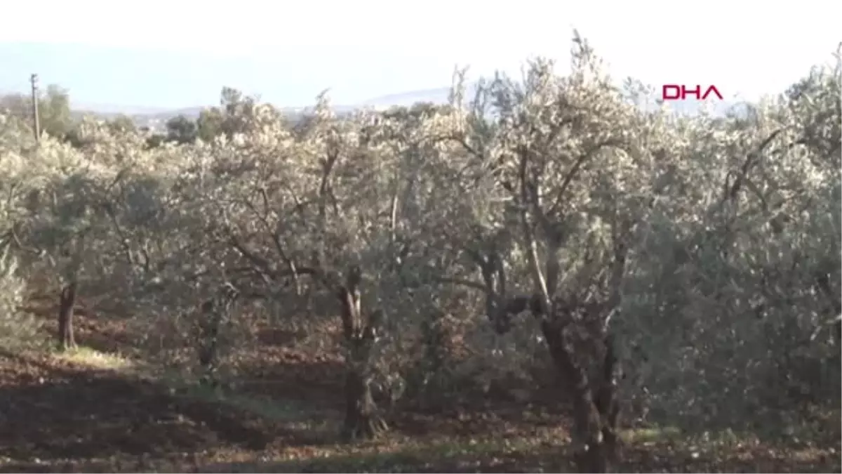 İzmir\'de Şiddetli Rüzgar Hayatı Olumsuz Etkiledi