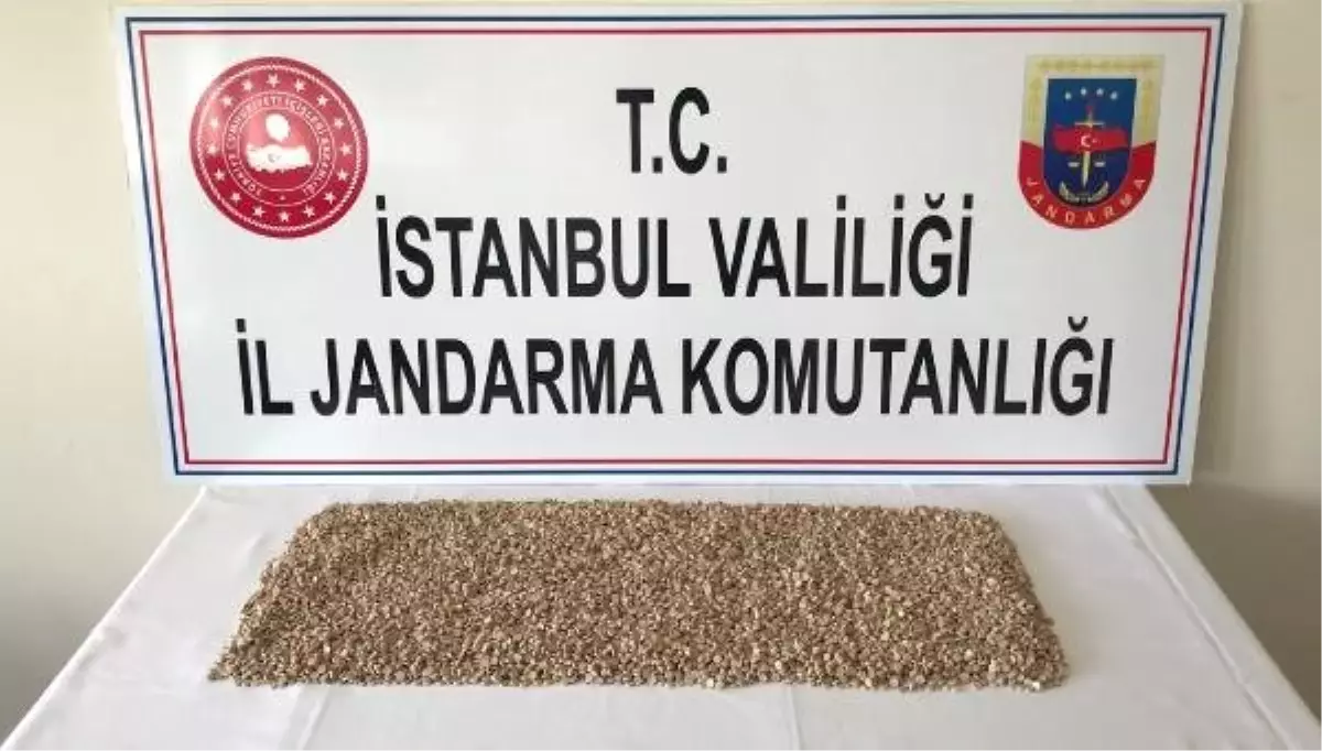 Jandarmadan Uyuşturucu Operasyonu