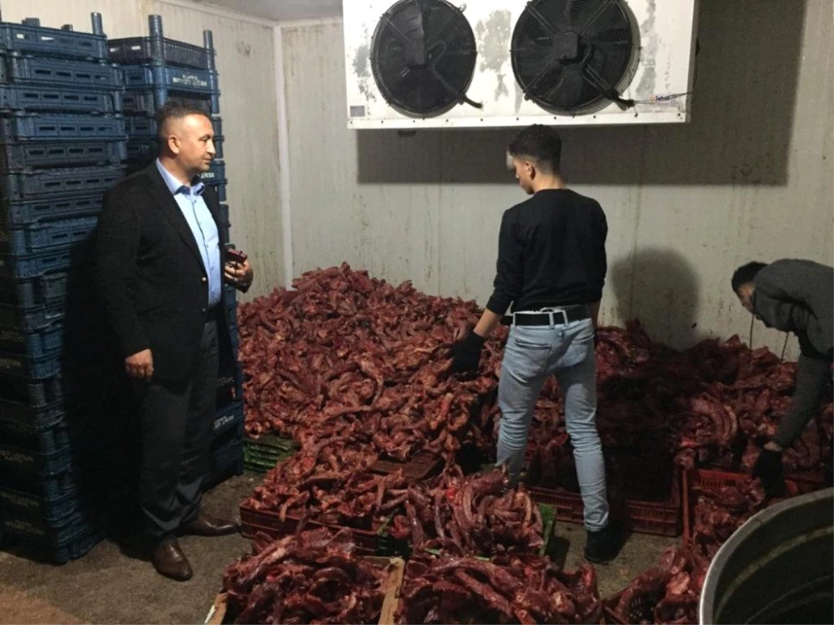 Mersin\'de 1 Ton Kaçak Kesilmiş Tavuk Eti Ele Geçirildi