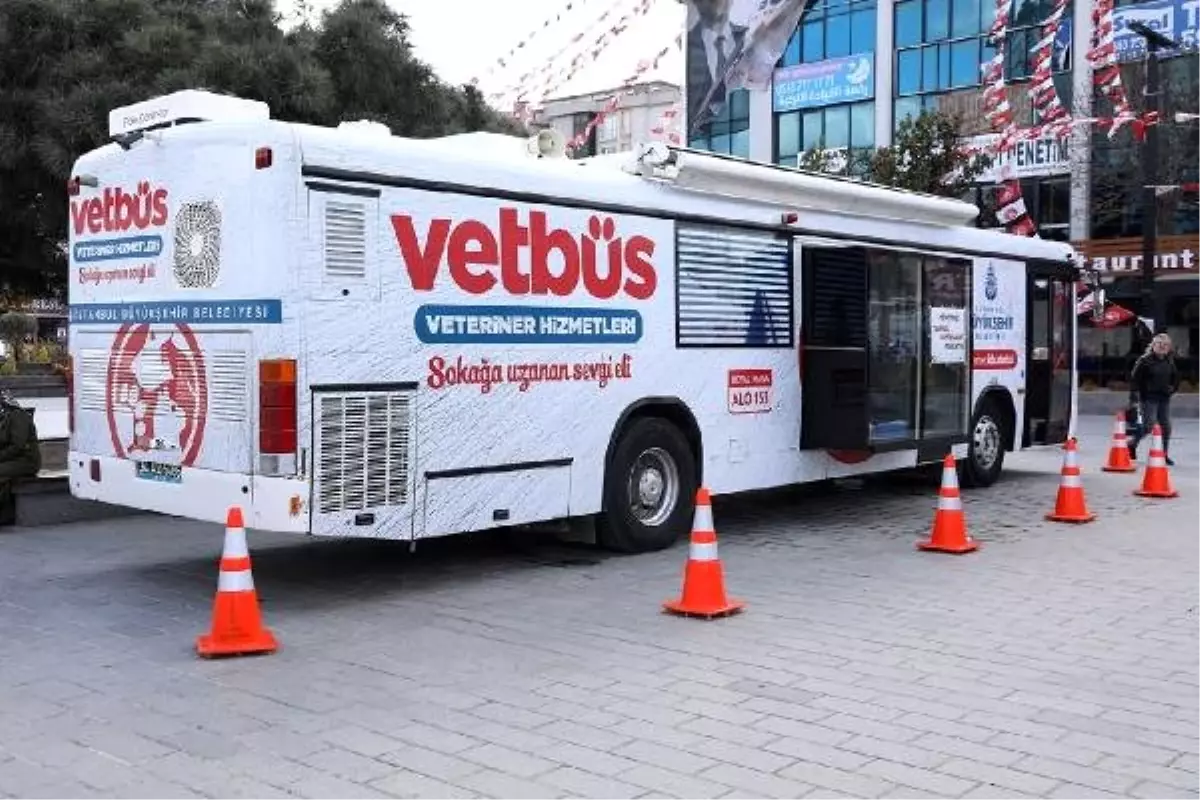 İbb, "Vetbüs" Bir Yılda 2 Bin Sahipsiz Hayvana Hizmet Verdi
