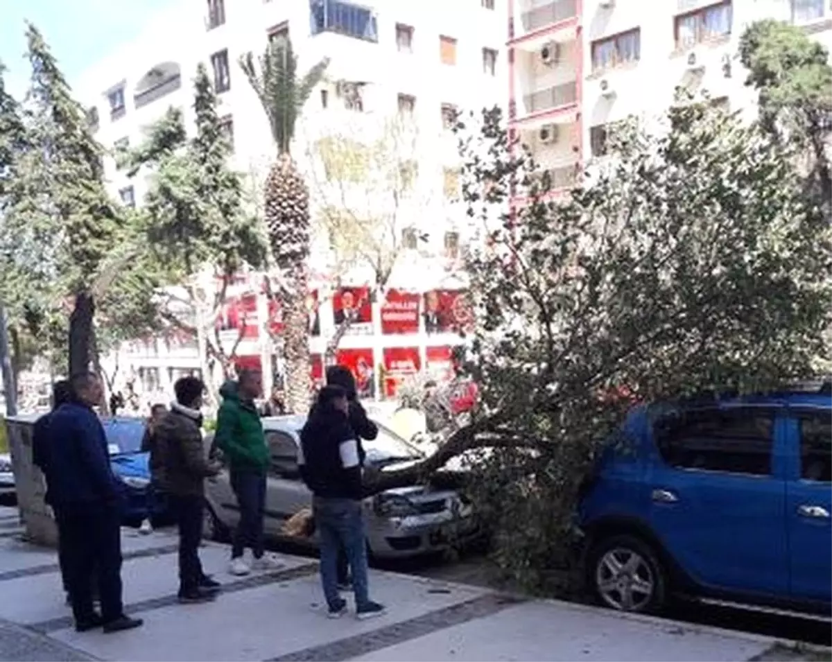 İzmir\'de Şiddetli Fırtına: Çatılar Uçtu, Ağaçlar Devrildi