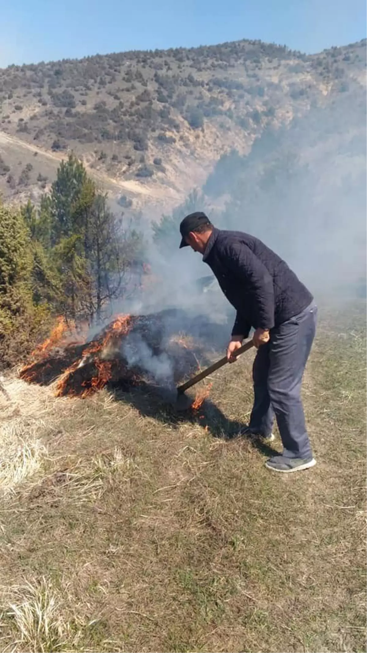 Orman Yangını Korkuttu