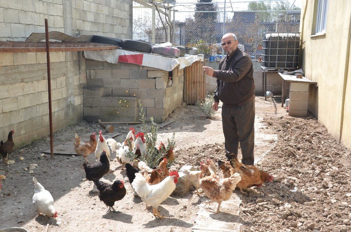 Sanayi Esnafından Organik Üretim