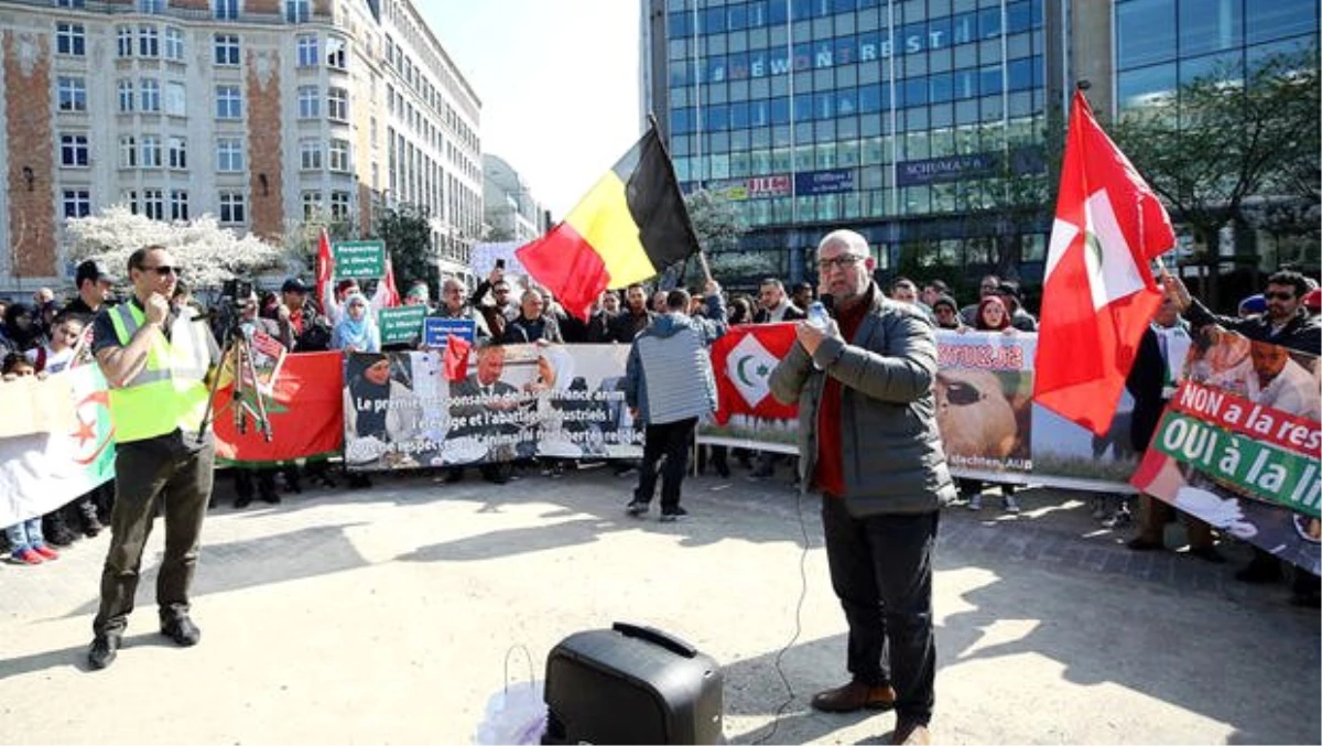 Brüksel\'de \'Helal Kesim Yasağı\' Protestosu
