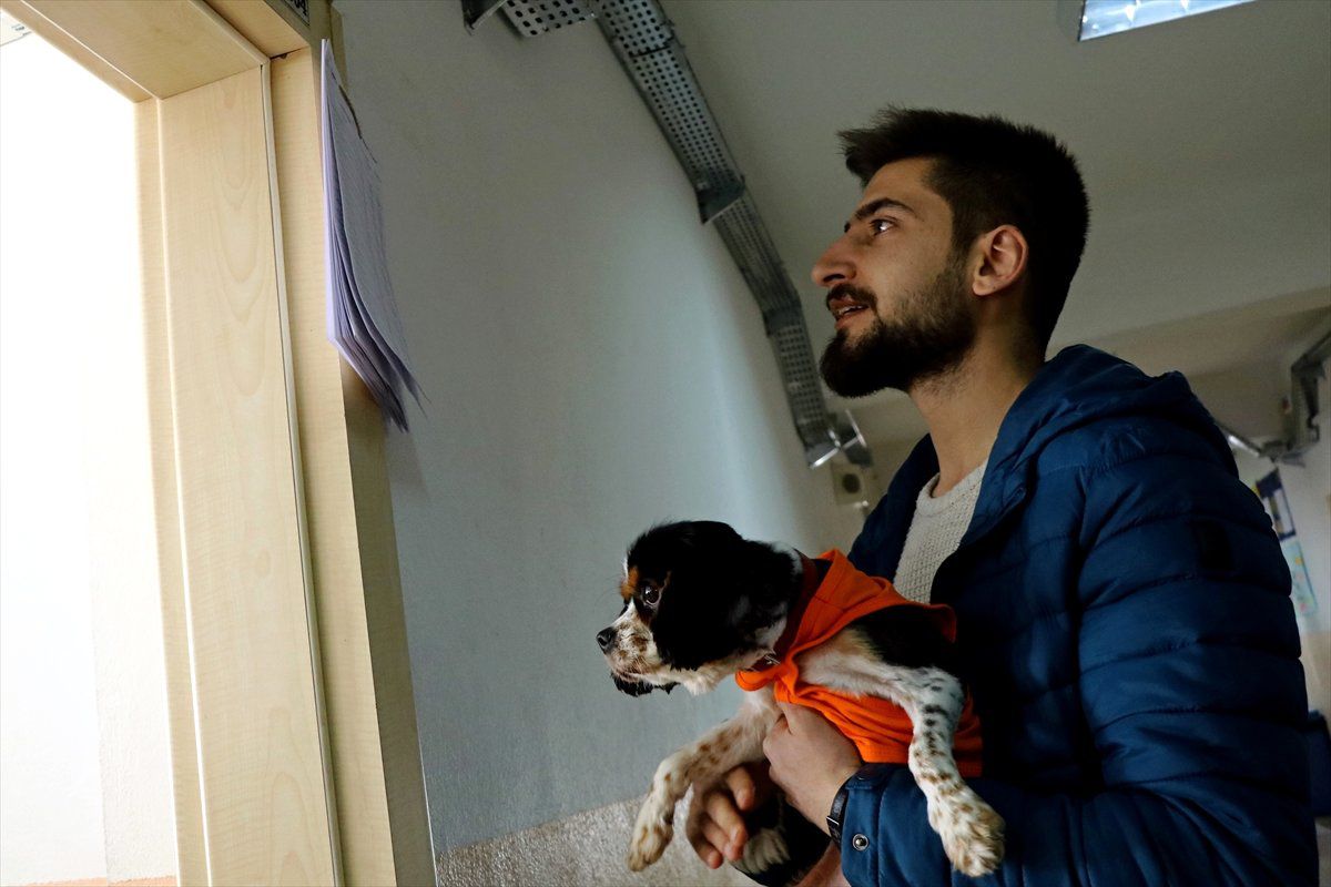Oy Kullanmaya Köpekleri "Maya" ile Geldiler