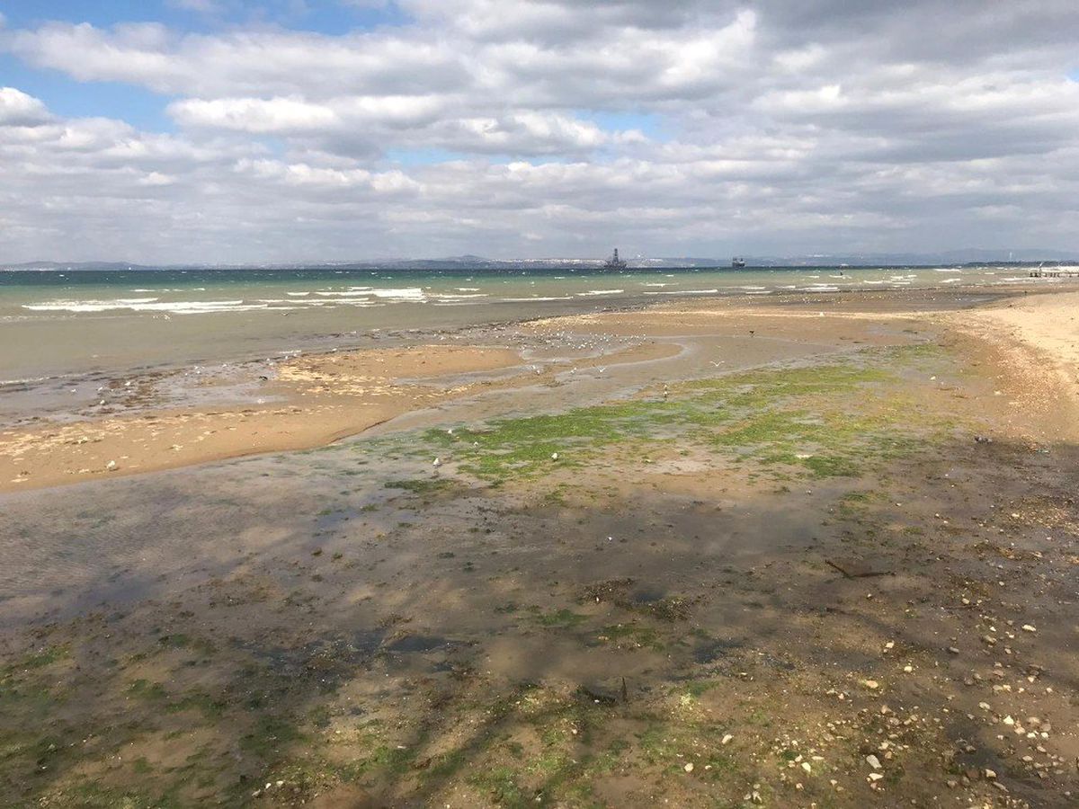 Yalova\'da Deniz Suyu 20 Metre Çekildi
