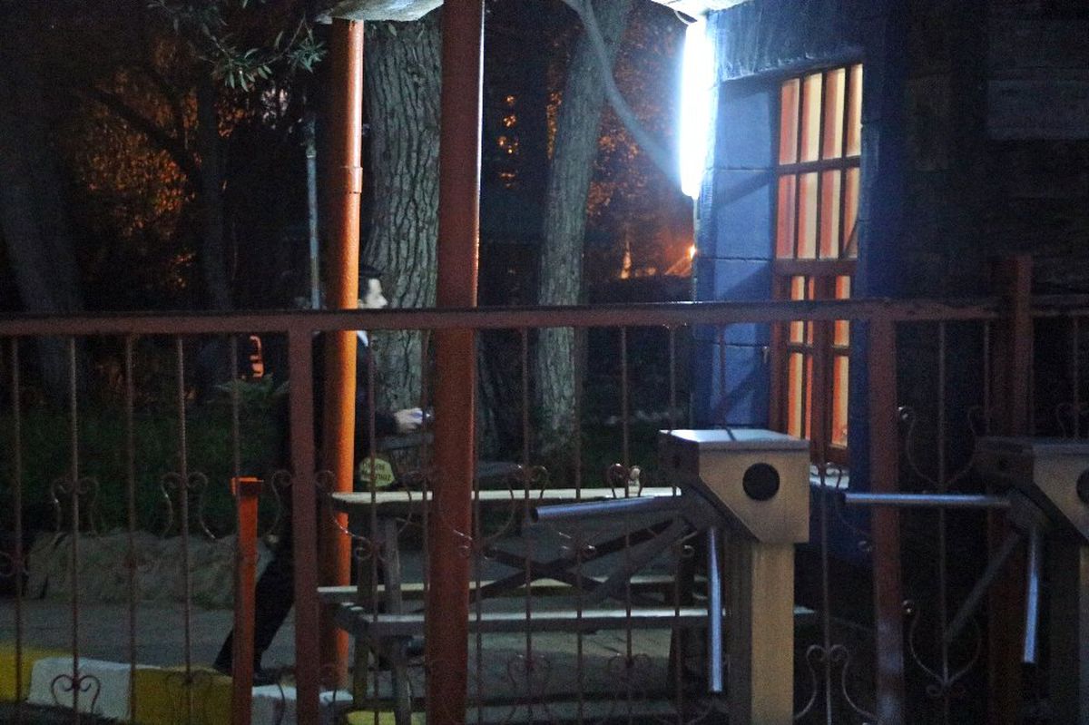 Antalya\'da Hayvanat Bahçesinden Kurt Kaçtı