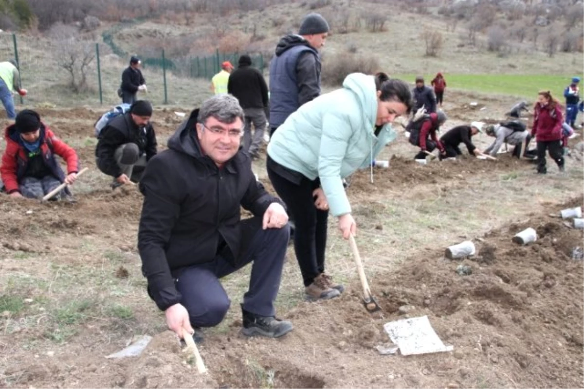 Hititlerin En Kutsal Tapınağına Lavanta Bahçesi