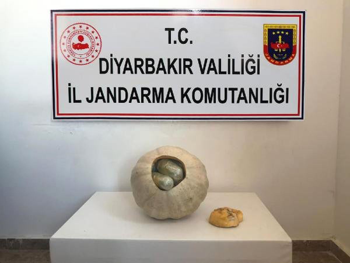 Bal Kabağından Esrar Çıktı