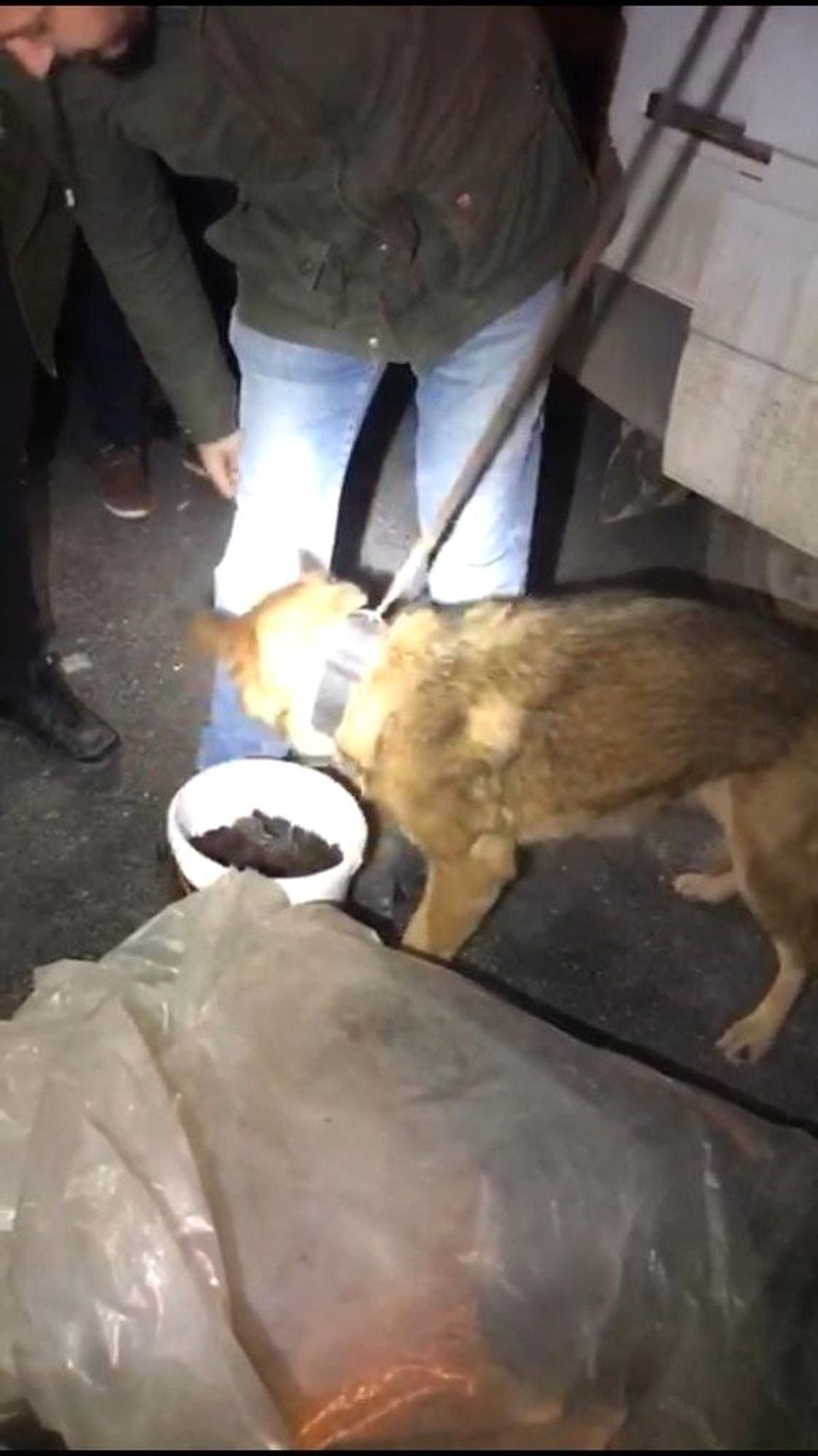 Erik Kurusu İçerisine Saklanan Uyuşturucuyu Narkotik Köpeği Buldu