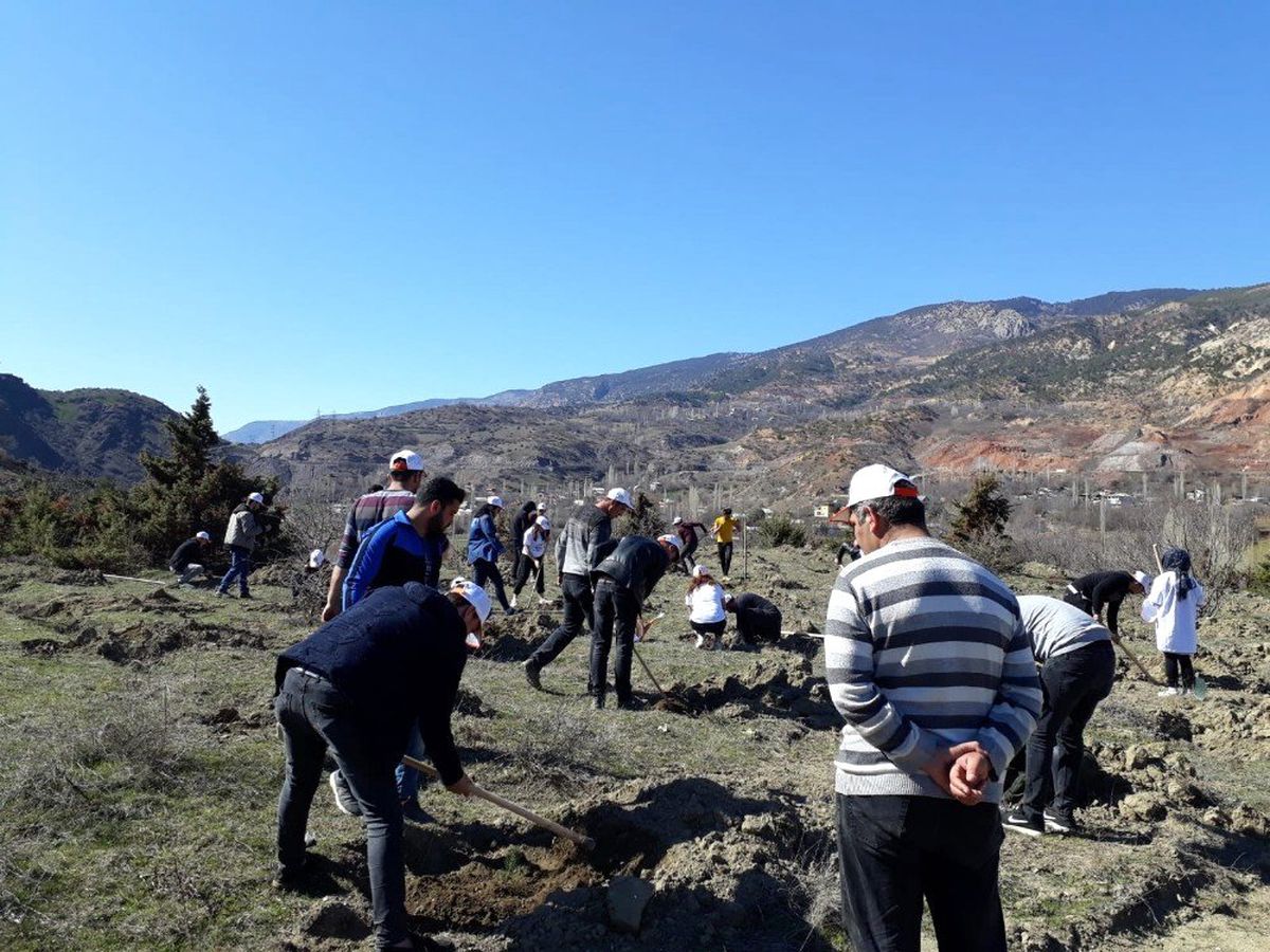 Öğrenciler 300 Sarı Çamı Toprakla Buluşturdu
