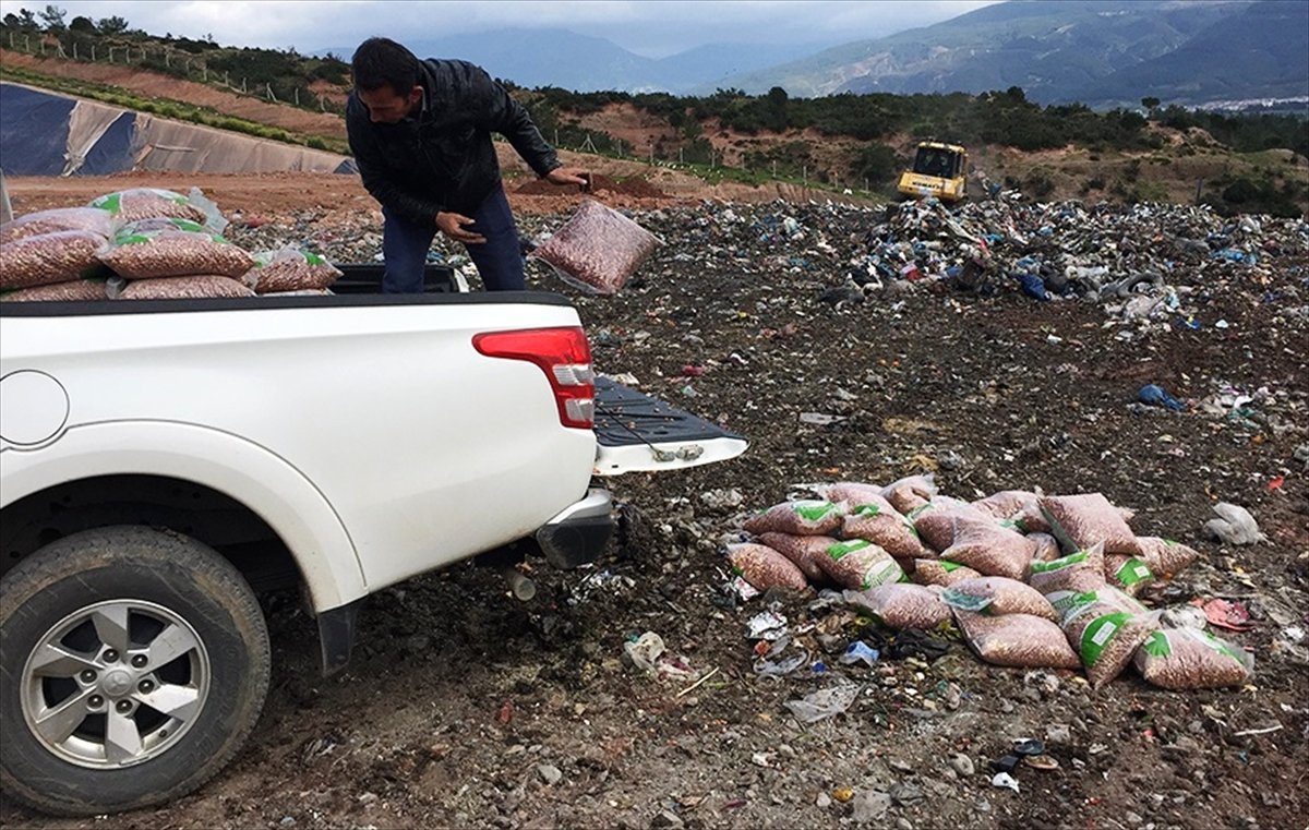 Boyanarak Satılmaya Çalışılan 1 Ton Bozuk Yer Fıstığı İmha Edildi