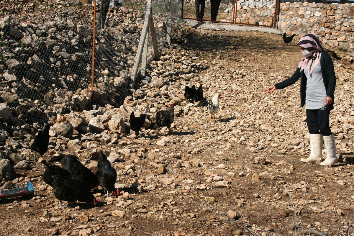 Kadın Girişimci, Devlet Desteğiyle Organik Yumurta Üretiyor