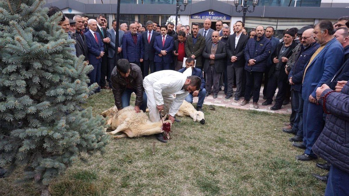 Kangal\'da Nöbet Değişimi