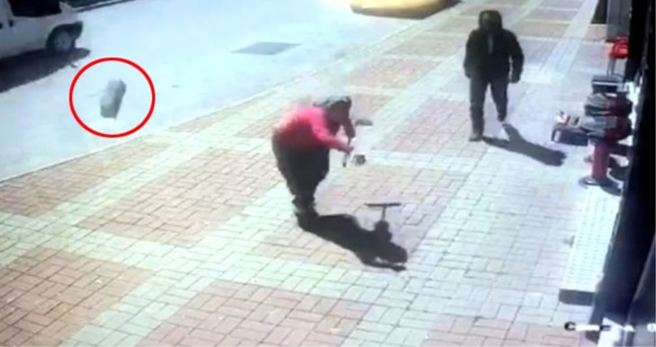 Kasap Önünde Kemik Bekleyen Köpeğe, Parke Taşıyla Saldıran Kadın Güvenlik Kamerasına Yansıdı