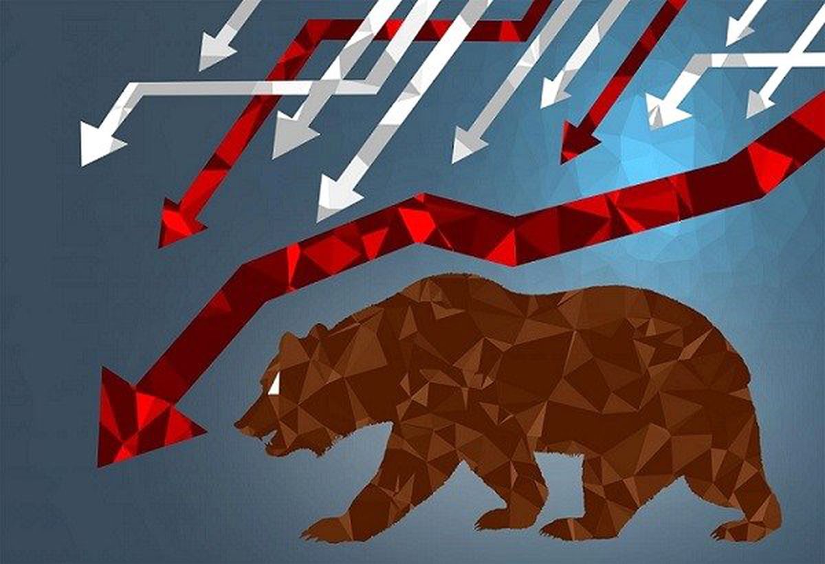 Kripto Paralarda "AYI Piyasası" Sona Mı Eriyor?