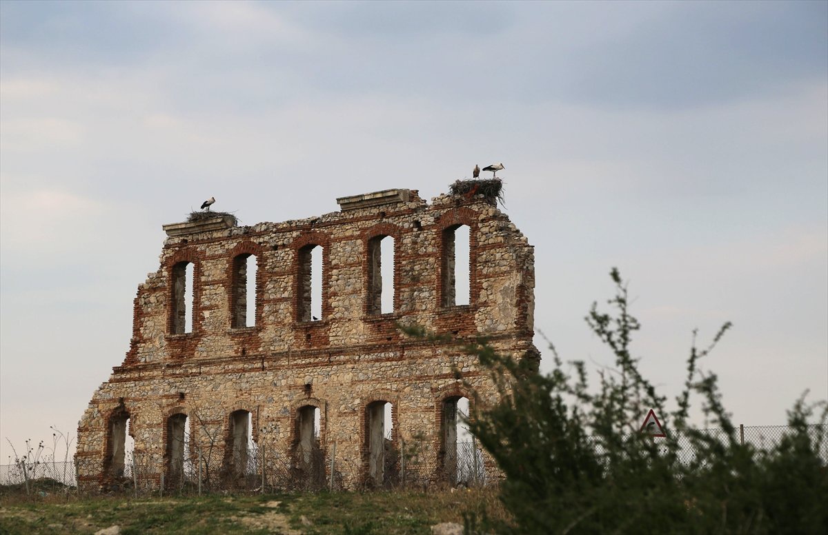 Tarihi Hastane Duvarının Kanatlı Misafirleri Geldi