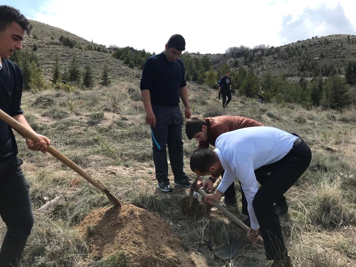 Ülkü Ocakları\'dan Bin Fidan