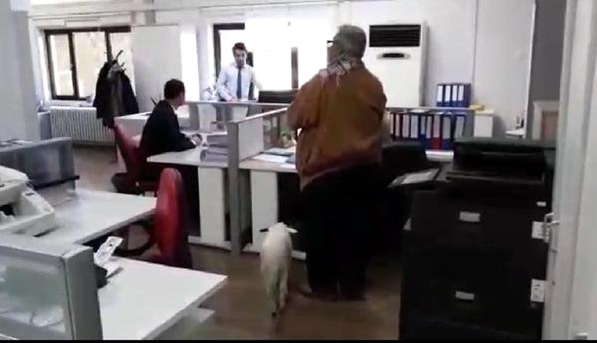 Vergi Dairesine Kuzusuyla Geldi
