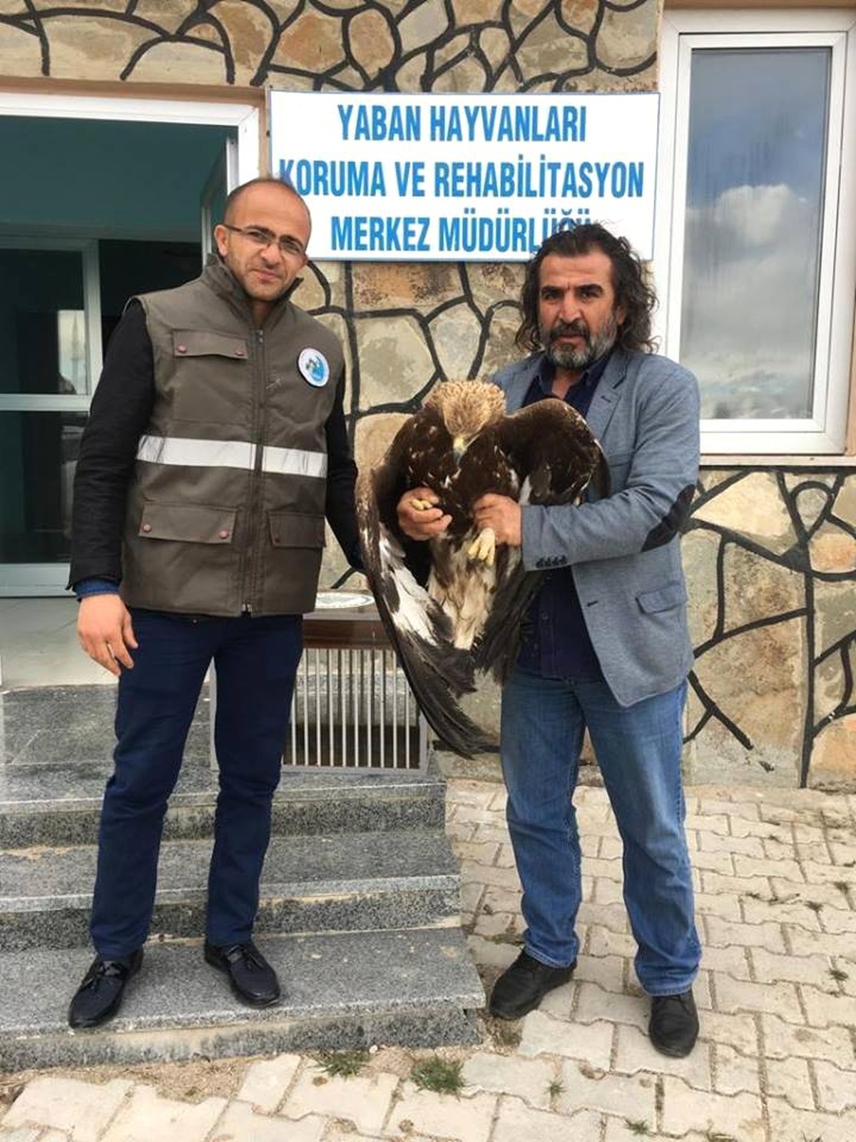 Yaralı Kaya Kartalı ile Ebabil Kuşu Tedavi Altına Alındı