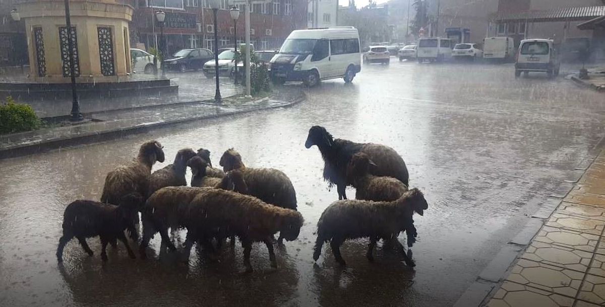 Yavuzeli\'ni Sağanak Vurdu