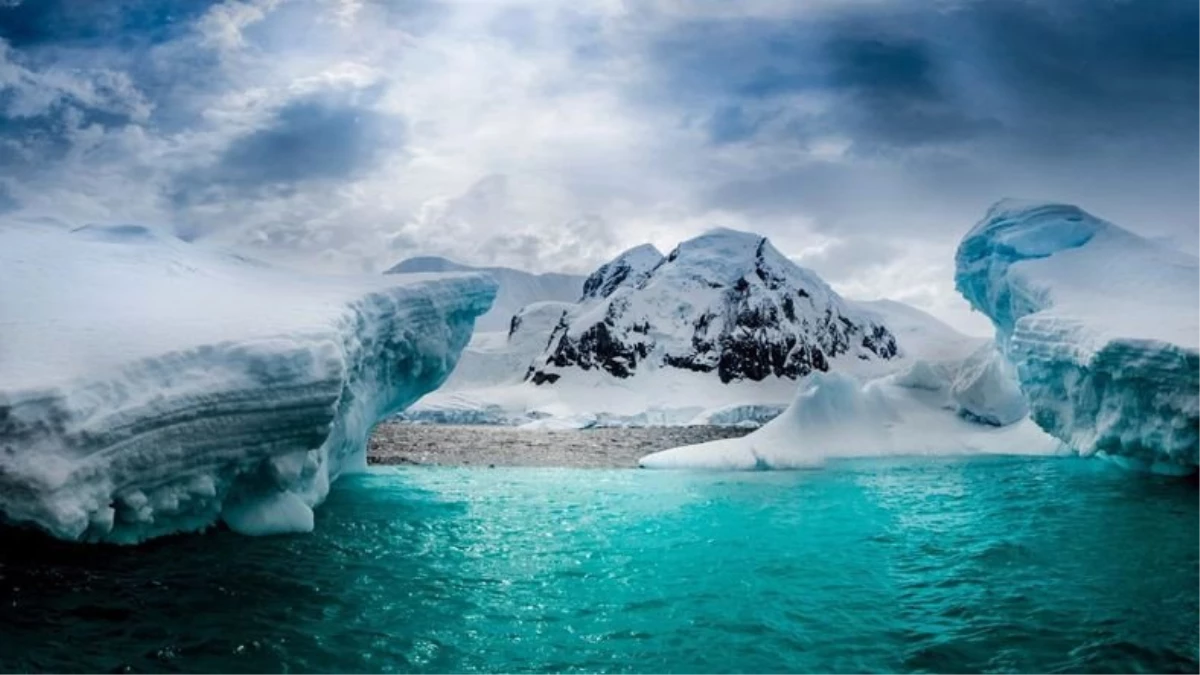 Antarktika\'da Küresel Isınma Yüzünden Bitkiler Yeniden Yeşerebilir