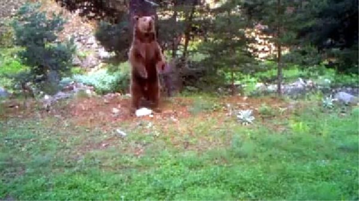 Doğal Yaşamın Güzelliği Foto ve Videokapana Yansıdı