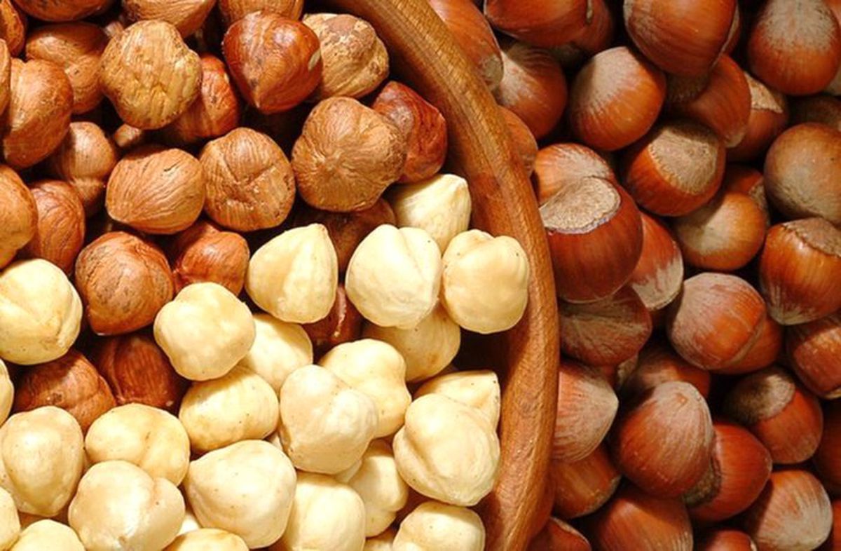 Doğu Karadeniz’in ihracattaki yükselişi devam ediyor