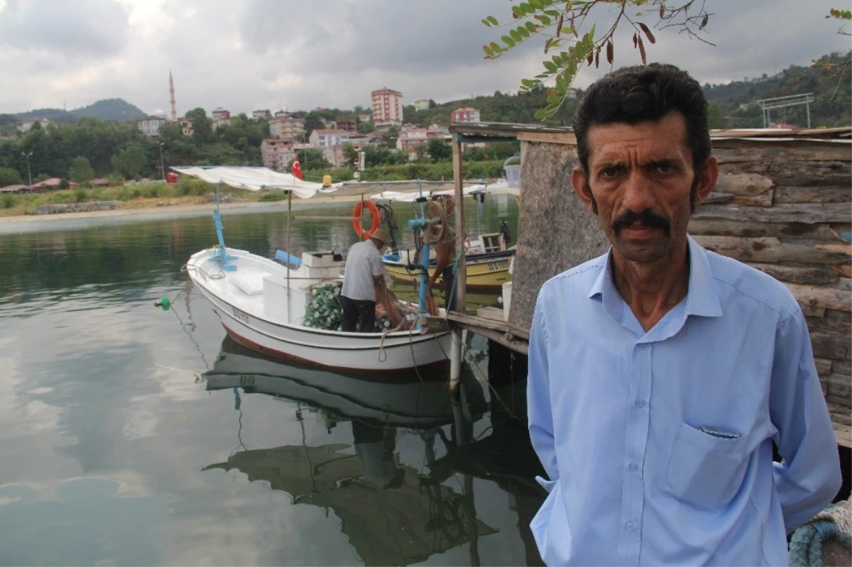 Giresun Piraziz Su Ürünleri Kooperatifi Başkanı Hamdi Arslan: "Bu Sezon Palamut Olmasa Birçok...