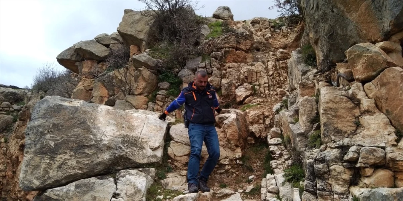 Kayalıklarda Mahsur Kalan Keçileri, Afad Ekipleri Kurtardı