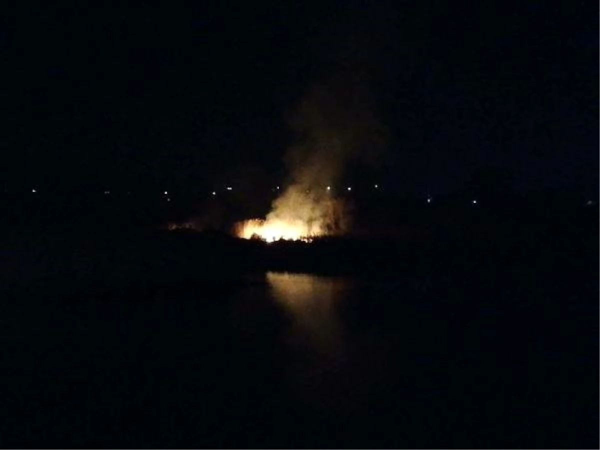 Kırıkkale\'de Sazlık Yangını