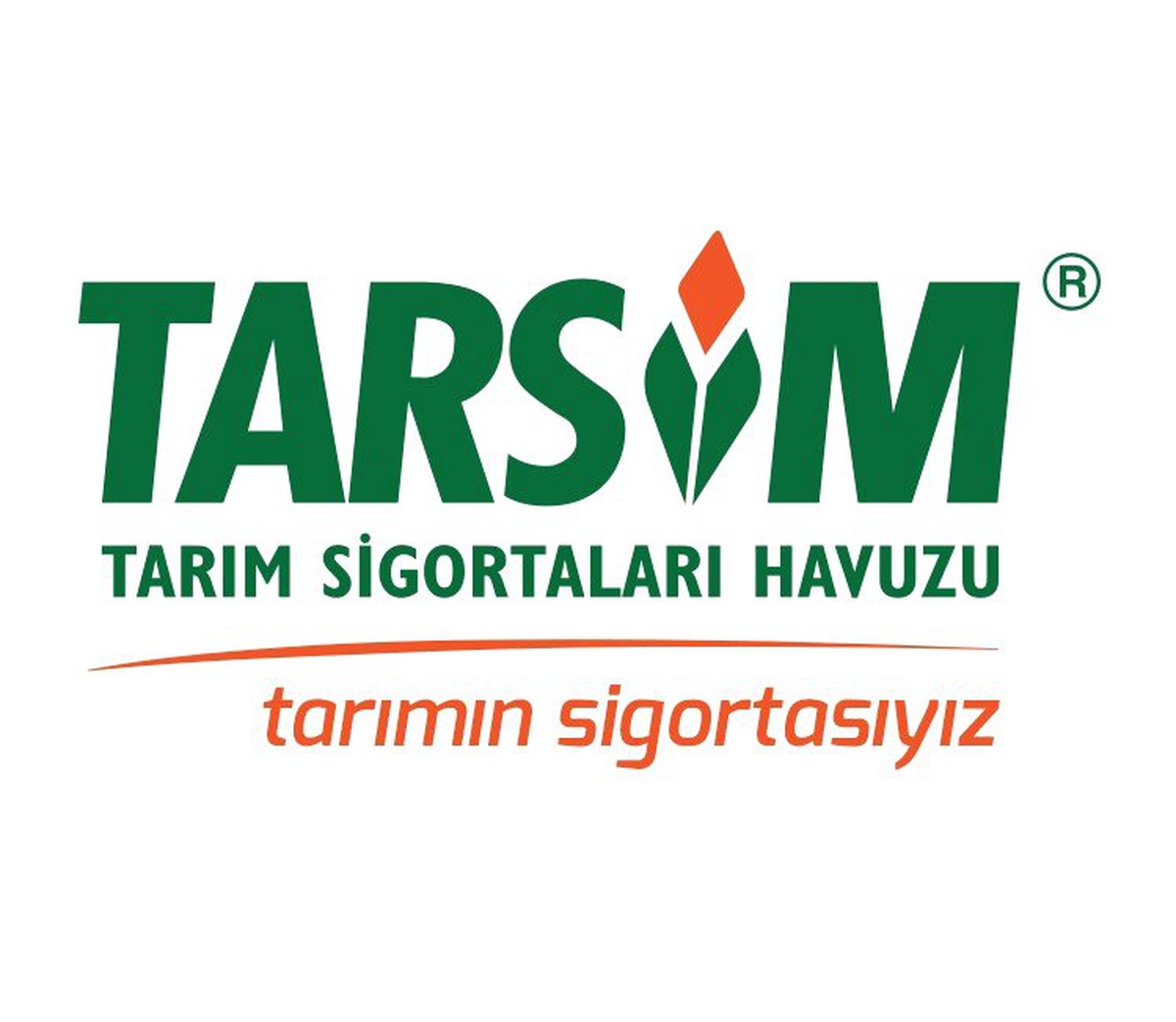 Tarsim\'de İbre Yükselişi Gösterdi