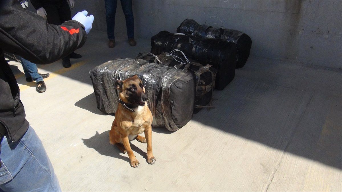 Tekirdağ\'da 131 Kilogram Skunk Ele Geçirildi