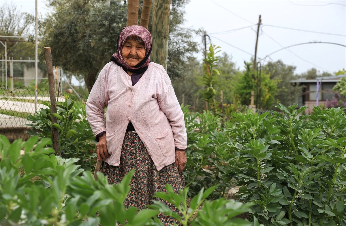 102 Yaşında Tarlada Gençlere Taş Çıkarıyor