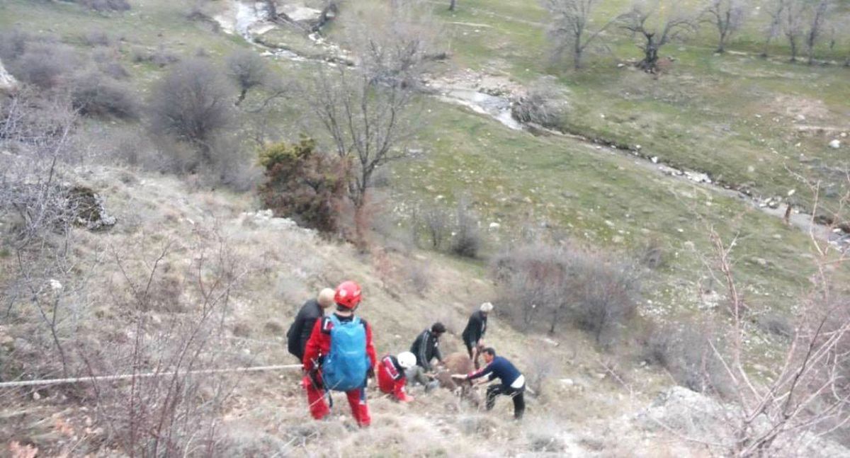Akut Son Anda Kurtardı