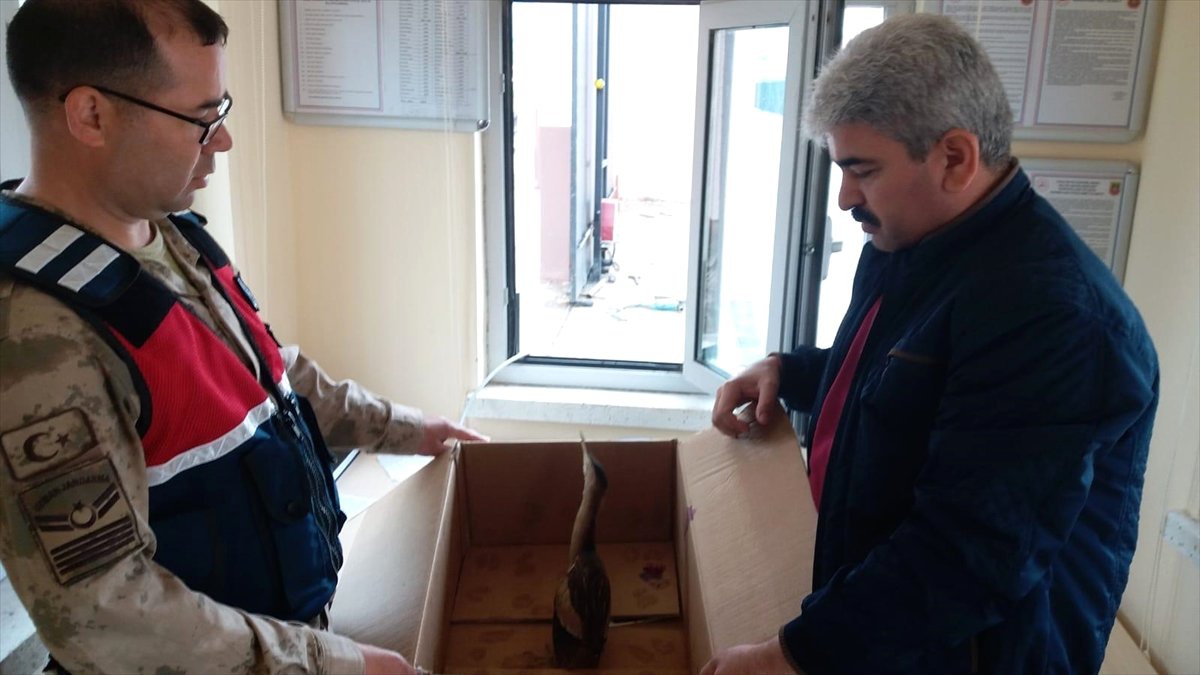 Hint Gölet Balıkçıl Kuşu Cezaevine Düştü