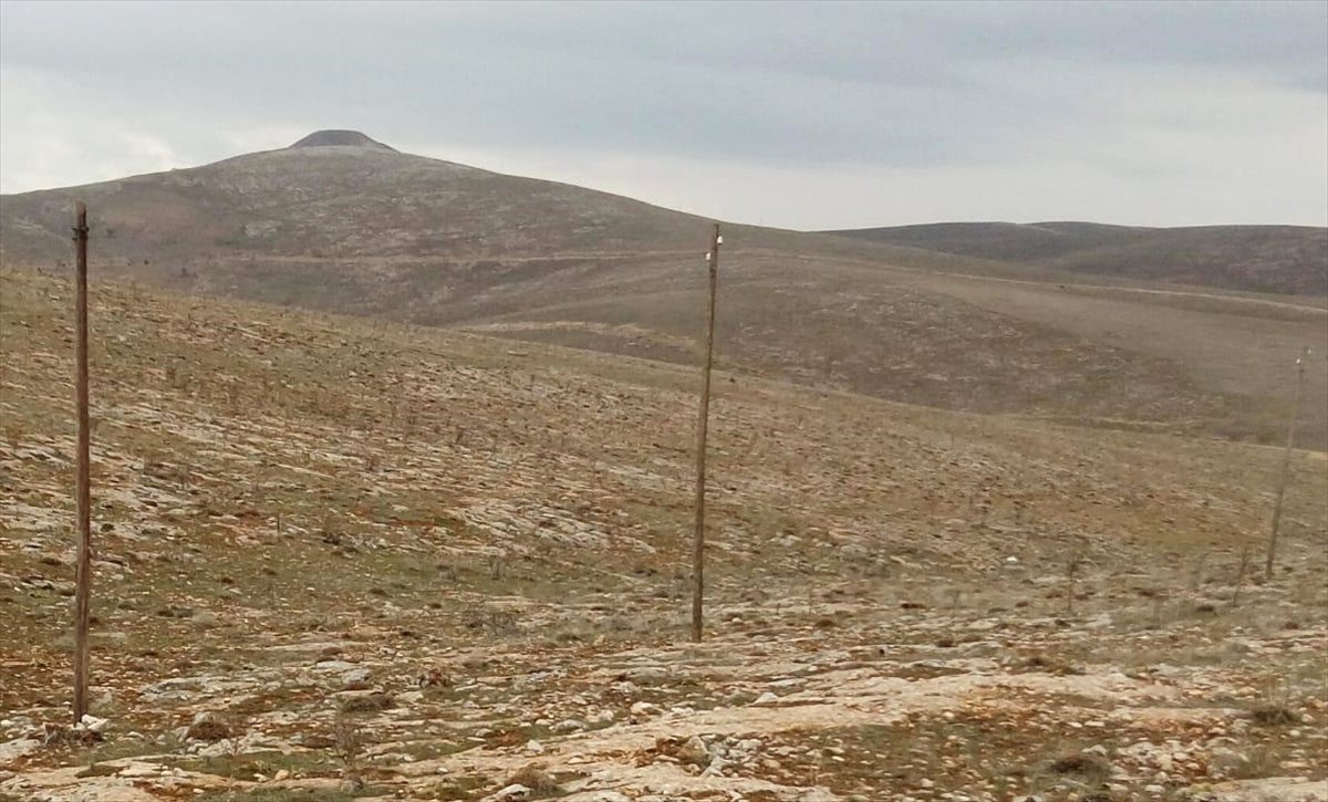 Kahramanmaraş\'ta Kablo Hırsızları Yakalandı