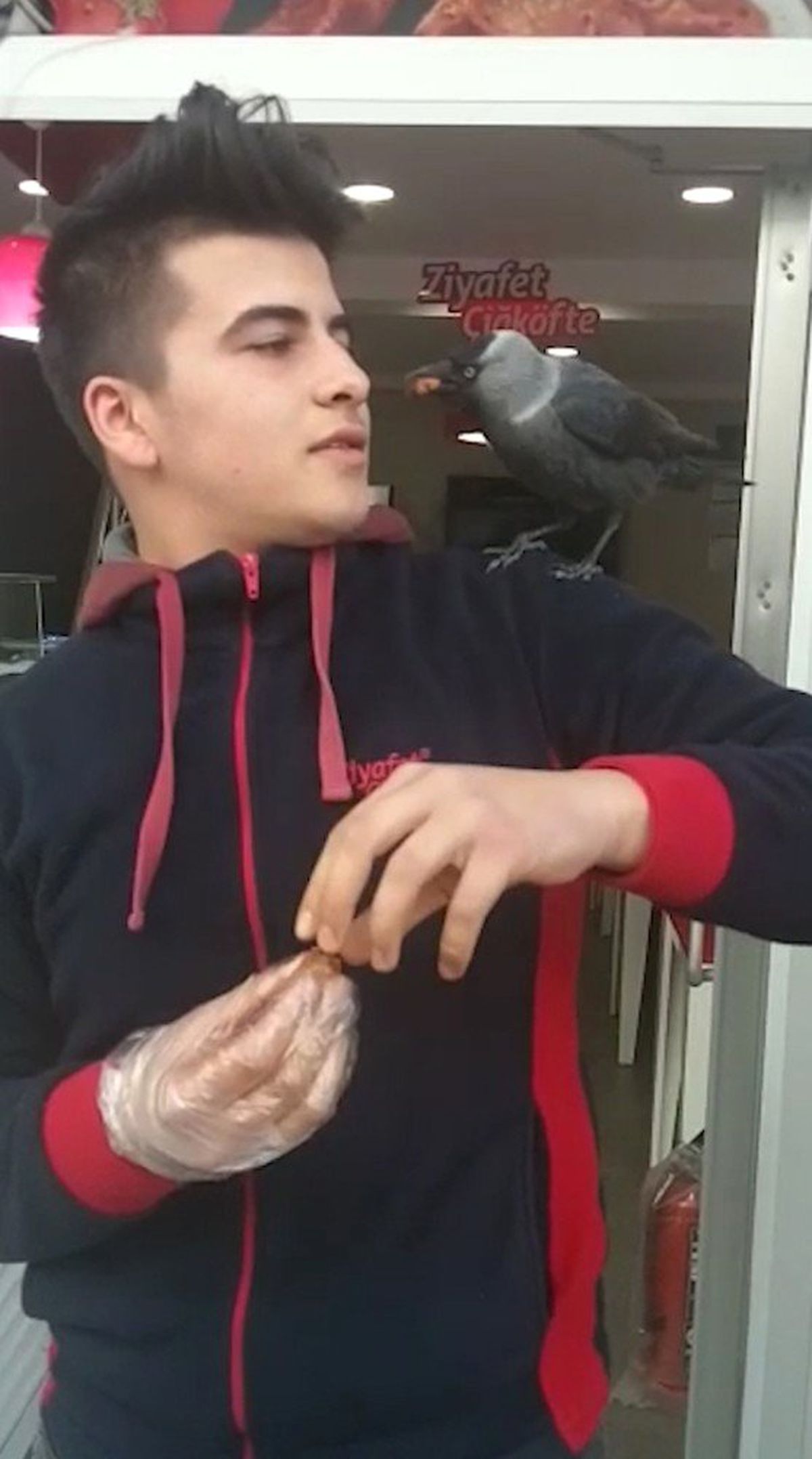 Karganın Çiğ Köfte Sevgisi