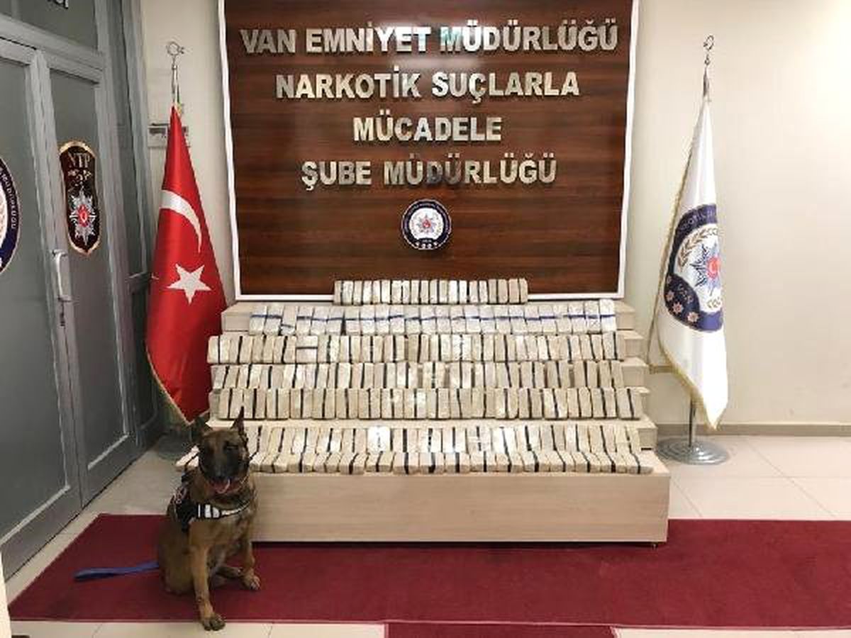 Kolilerdeki Uyuşturucuyu \'Lisa\' Buldu