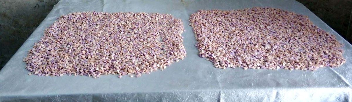 Kozan\'da Uyuşturucu Operasyonu: 9 Gözaltı