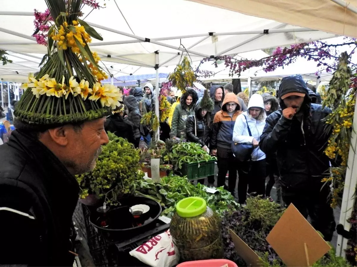 Alaçatı Ot Festivali\'ne Yoğun İlgi