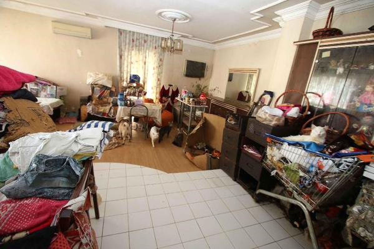 Apartman Dairesinden 47 Kedi, 6 Köpek ve 1 Kaplumbağa Çıktı