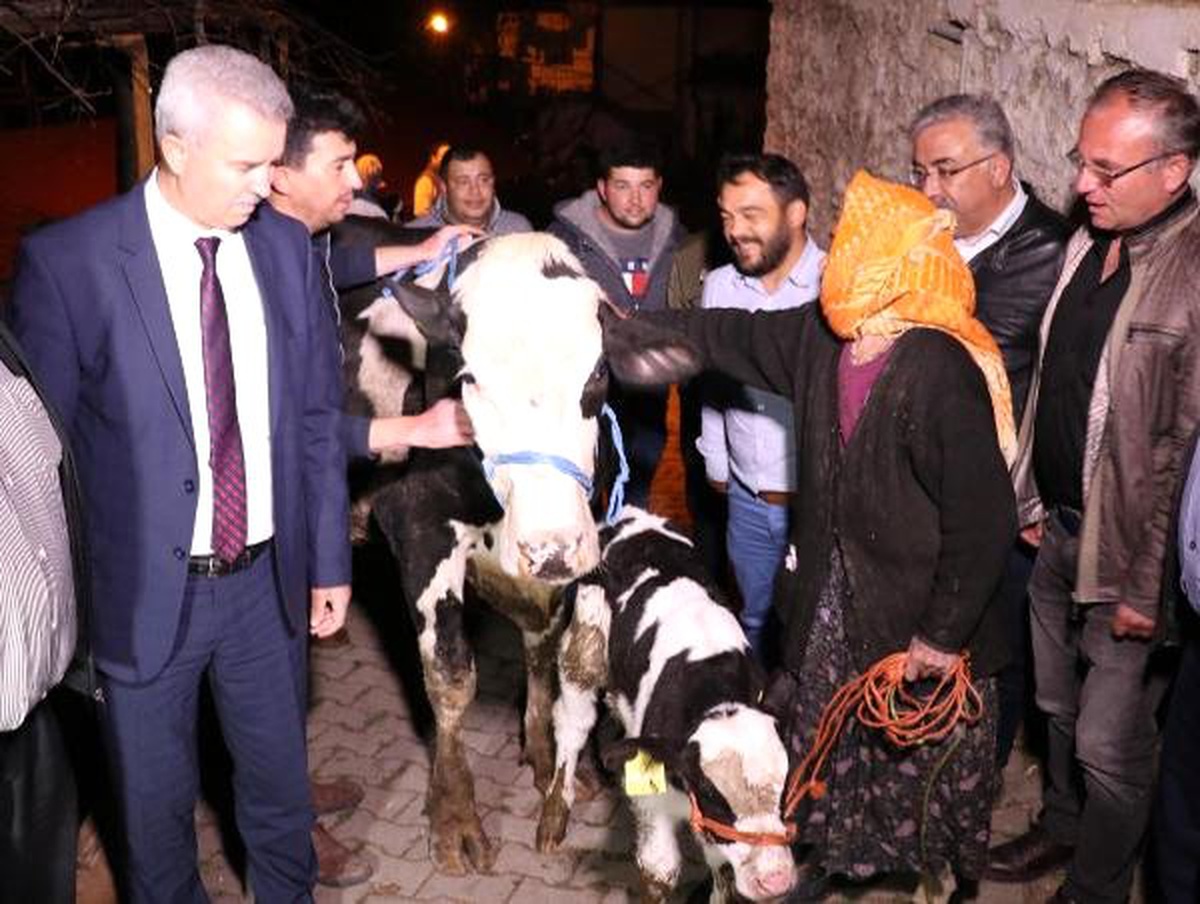 Bakan Pakdemirli, Sabiha Nineye Buzağılı İnek Hediye Etti