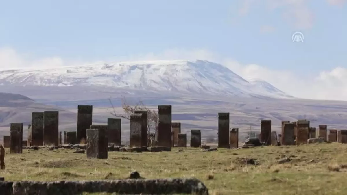 Dünyanın En Büyük Türk İslam Mezarlığı Yeşille Bütünleşecek