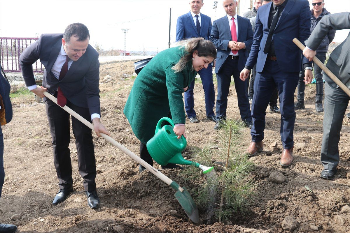Erciş\'te "Adalet Ormanı" Oluşturuldu