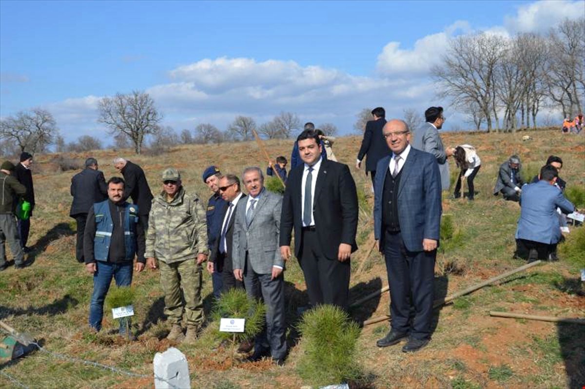 Şehit Cumhuriyet Savcısı Kiraz İçin Hatıra Ormanı