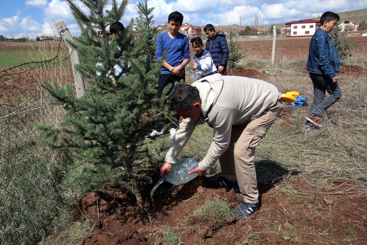 Yardım Paralarıyla Köy Mezarlığı Ağaçlandırılıyor