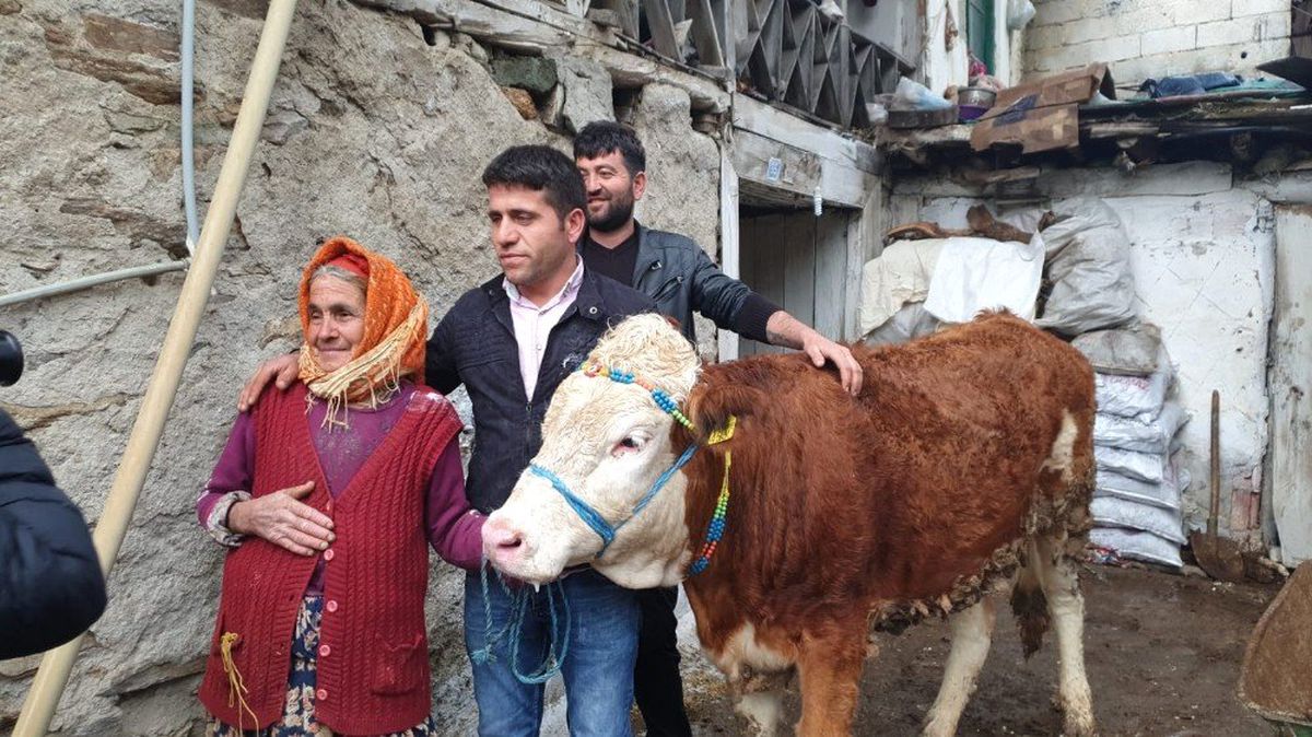 Bir İstedi, Beş İneği Oldu