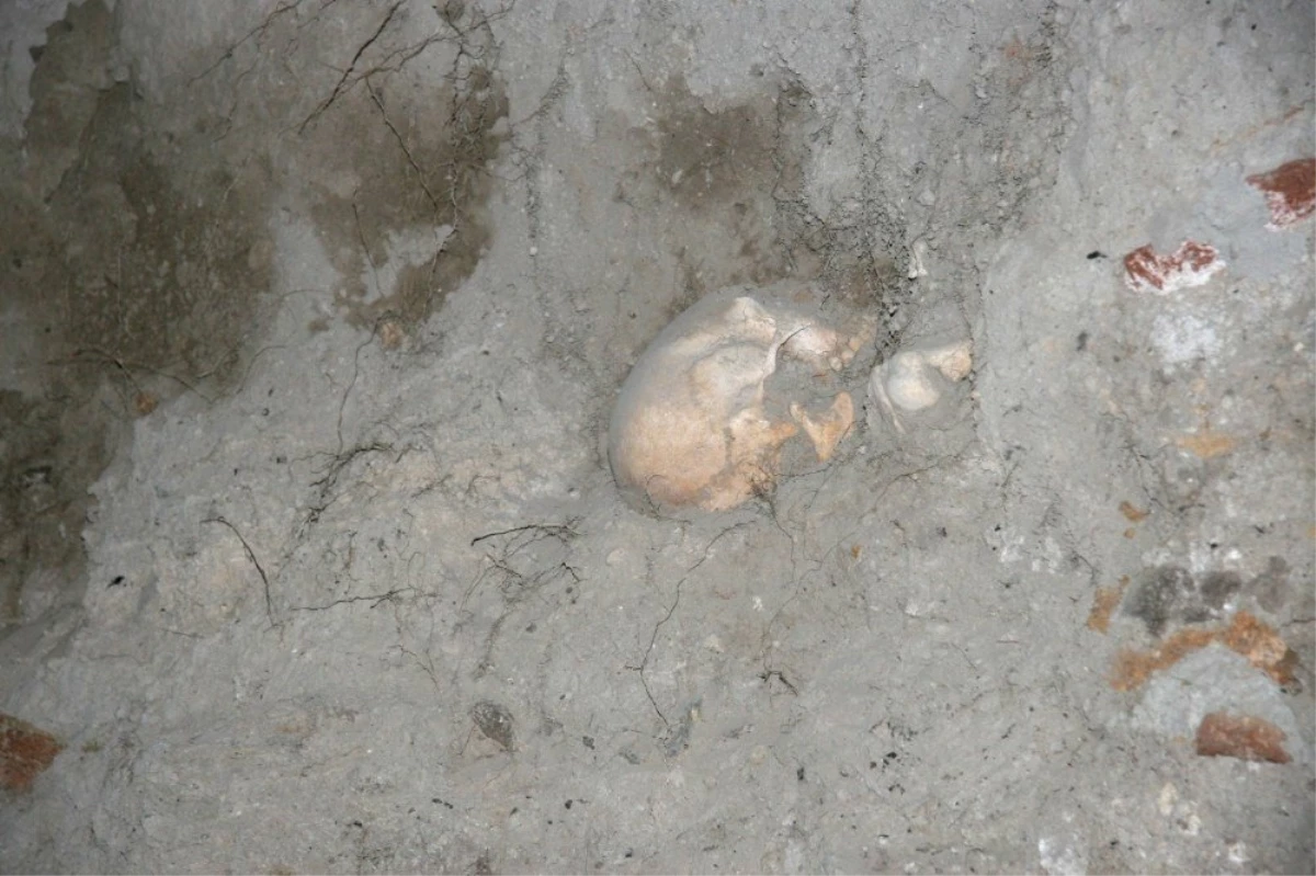 Boş Arazide Ortaya Çıkan İnsan Kemikleri Korkuttu